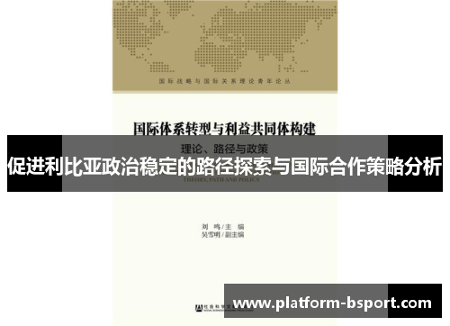 促进利比亚政治稳定的路径探索与国际合作策略分析