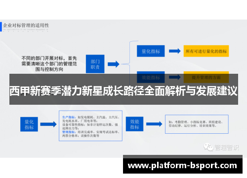 西甲新赛季潜力新星成长路径全面解析与发展建议